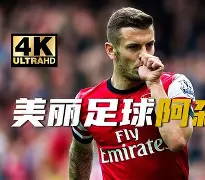 关键时刻体能课后，曼联战术微调备战英超，赛场秩序良好，赛季目标并未改变的简单介绍